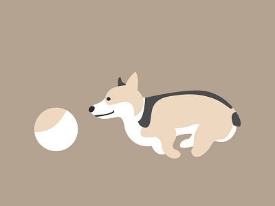 Bruno illustration ball bruno chase chasing color color palette corgi dog dog icon icon minimal