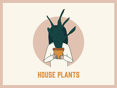 Millennial Series illustration color color palette house plant house plants illustration millennial plant snake plant