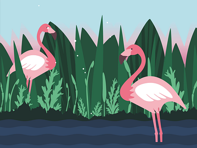 Flamingo 2d after affects animals animation birds flamingo flat illustration motion graphics nature nature illustration vector