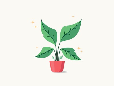 House plant growing animation 2d animation animation design flat flower graphic design growing illustration leaves minimal motion motion graphics nature plant pot