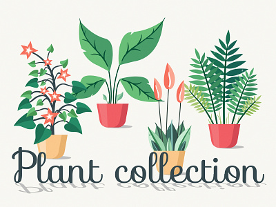 House plants 2d design flat flower graphic design illustration leaf nature plant plants pot vector