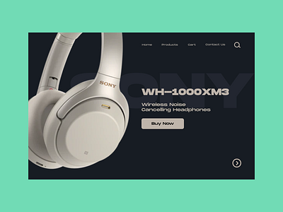 Sony Website 🎧 app design graphic design ui ux