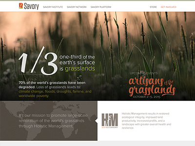 savory.global website