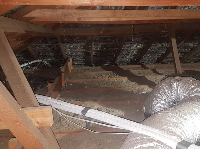 Insulation removal Adelaide by Cavity Wall Insulation Adelaide on Dribbble