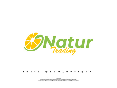 Natur Trading Concept abstract logo business logo company logo creative logo design finance log graphic design logo minimal logo orange logo trading logo