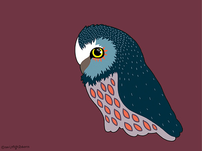 Orla Owl design digital drawing illustration owl