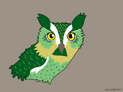 Olly Owl animals birds design digital drawing illustration owl