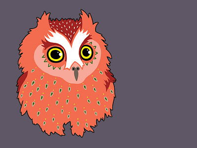 Odette Owl animals design digital drawing illustration owl