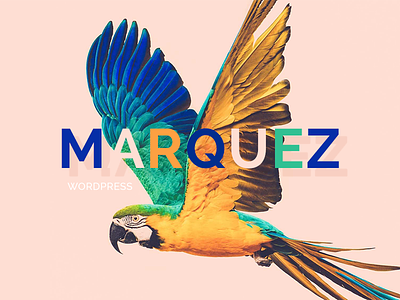 Marquez WordPress Theme Logo logotype minimal typography wordpress