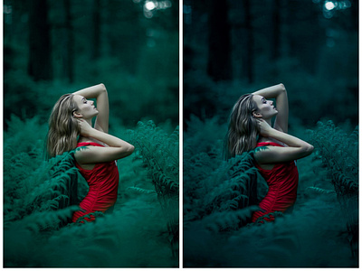 Photo Retouched edit Series #12 "Forest Scene Model" art