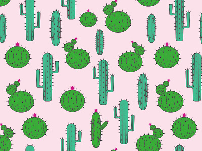 Cactus Pattern cactus patters