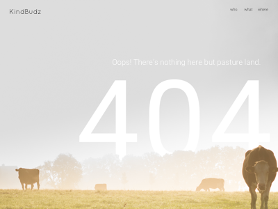 404 Page 404 dailyui error