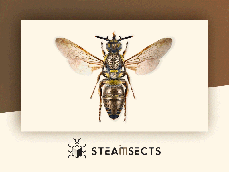 SteamInsects Wasp animated bug design insect motion shop steaminsects steampunk wasp webdesign website