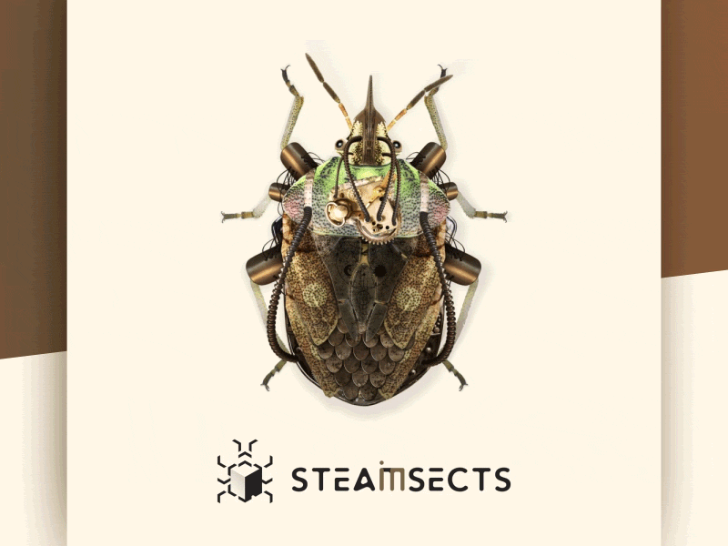 SteamInsects Beetle