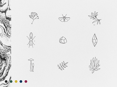 CURE Studios Branding - Florals beauty branding floral gems icons illustrations insect marble modern salon succulent texture