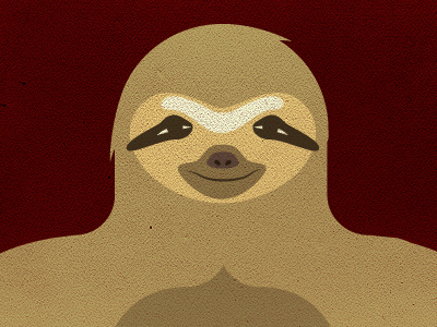 sloth illustration sloth vector