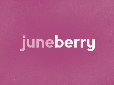 juneberry logo branding logo software