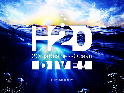 H20 Corporate Indentity branding bubble h2o illustration logo water