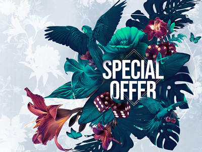 Limited Special Offer campaign design marketing promotion