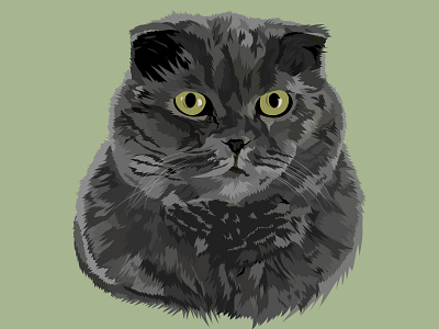 Cat illustration