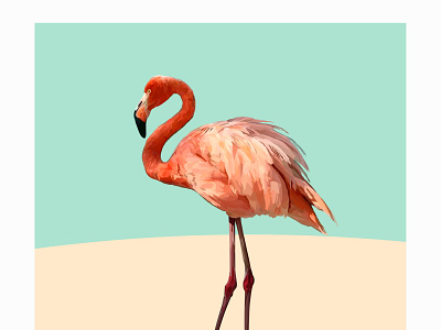 flamingos branding design graphic design icon illustration logo typography ui ux vector