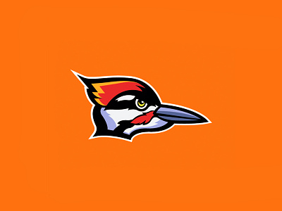 Woodpecker illustration orange sports syracuse teams