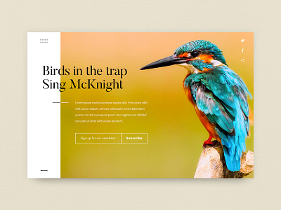 Newsletter Sign Up birds colors dailyui monday sign up typography ui ui design