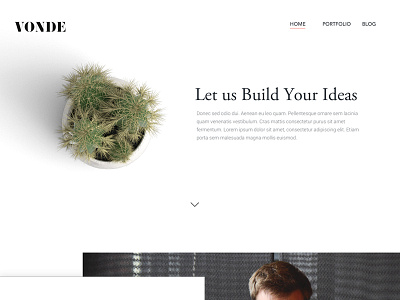 Landing Page For Vonde