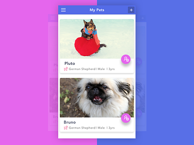 Pet Management App