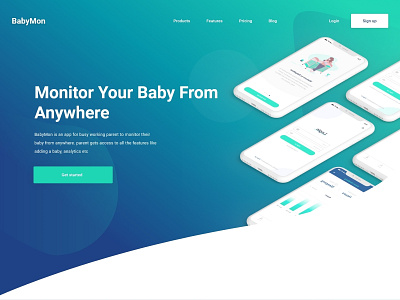 Landing Page  Dribble