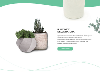 Organic shop - shot #2 green nature organic plant ui ui design ux uxdesign uxui white whitespace