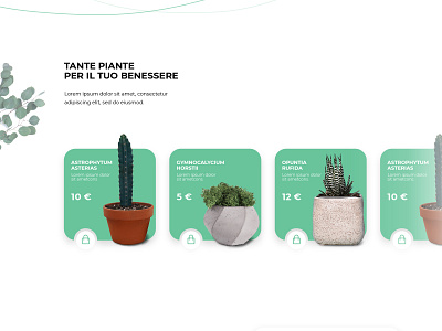 Organic shop - shot #3 carousel nature plant slide ui ui design uiux ux