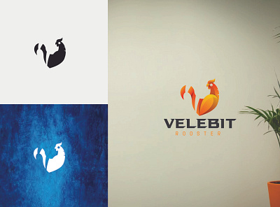 VELEBIT branding design graphic design illustration logo ux vector