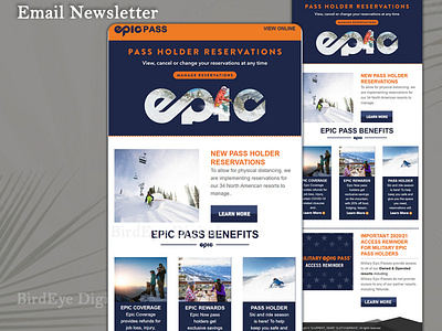 **Email Template Design/Newsletter**