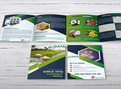 COMPANY PROFILE businessprofile company profile design graphic design illustration