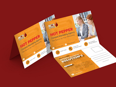 Post Card branding businessprofile company profile design graphic design illustration logo