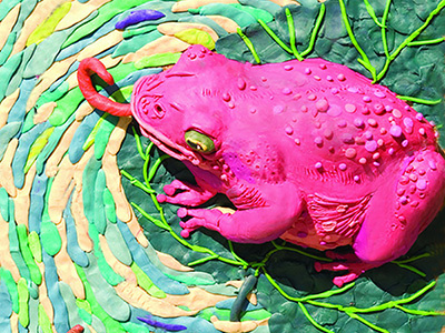 pink frog plasticine