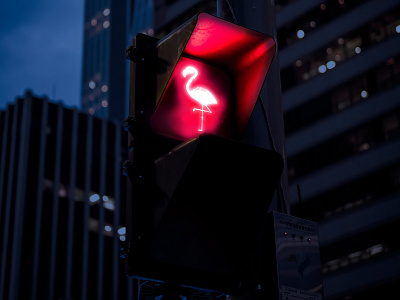 traffic light crosswalk flamingos photoshop traffic sign