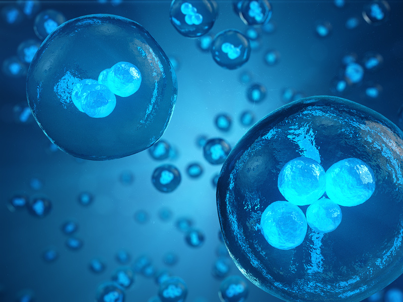 Egg Freezing Cost Fertility Preservation Clinic Hyderabad by keerthi