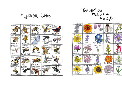 Pollinator Bingo