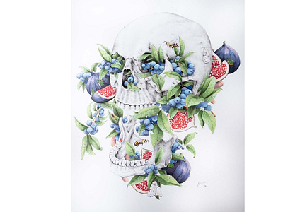 Skull and Figs