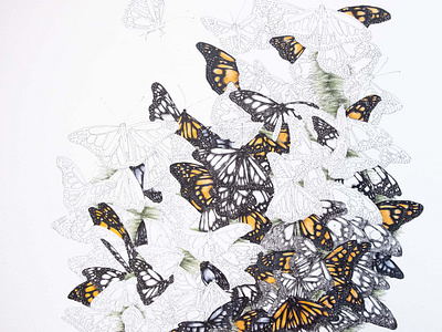Wintering Monarchs art artivism climate art drawing fine art illustration monarch butterfly pen and ink pen and marker pollinators science communication