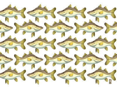 O Padrão dos Robalos cartoon design de personagens ilustração natureza pattern peixes pescaria sea shoal