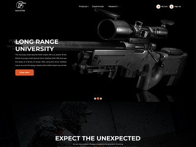 Gun Website design coding css design graphic design illustration logo ui ui design ux design website design