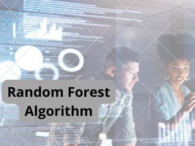 Random-Forest-Algorithm by proxima K on Dribbble