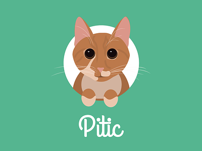 Pitic's Portrait cat portrait profile