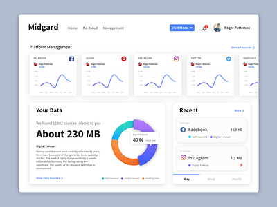 Midgard Variant 01 data management system desktop ui