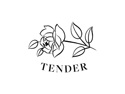 🌹 T E N D E R 🌹 brush drawn flower identity illustration logo midcentury midcentury modern rose soft tender vintage 🌹