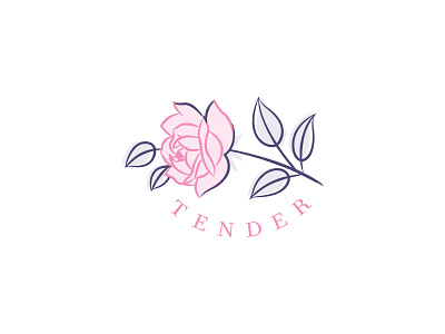 🌹 T E N D E R N E S S 🌹 branding brush drawn identity illustration logo typography 🌹