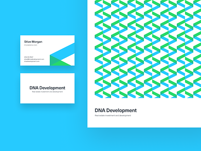 DNA Development branding brand element branding business card development identity illustration investment logotype pattern real estate stationery texture typography unfold